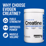 Evogen creatine cucharilla medidora indicando 60 servicios prácticos