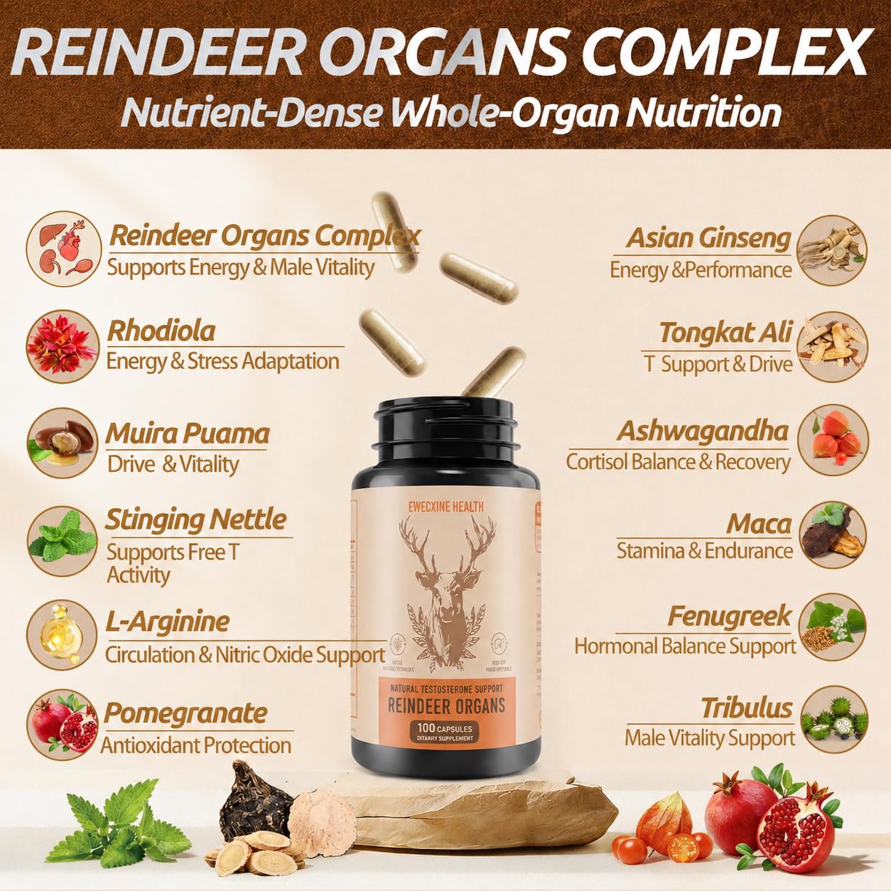 Ewecxine primeros planos de extractos: reno, rhodiola y ortiga indicando origen natural