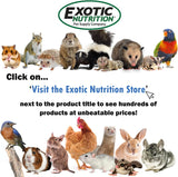 Exotic Nutrition Opossum-Cal espolvoreado sobre alimento para administración simple