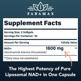 Detalle de textura de cápsula Fabamax Liposomal mostrando integridad