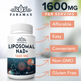 Fabamax ilustración liposomal mostrando protección y mejor absorción