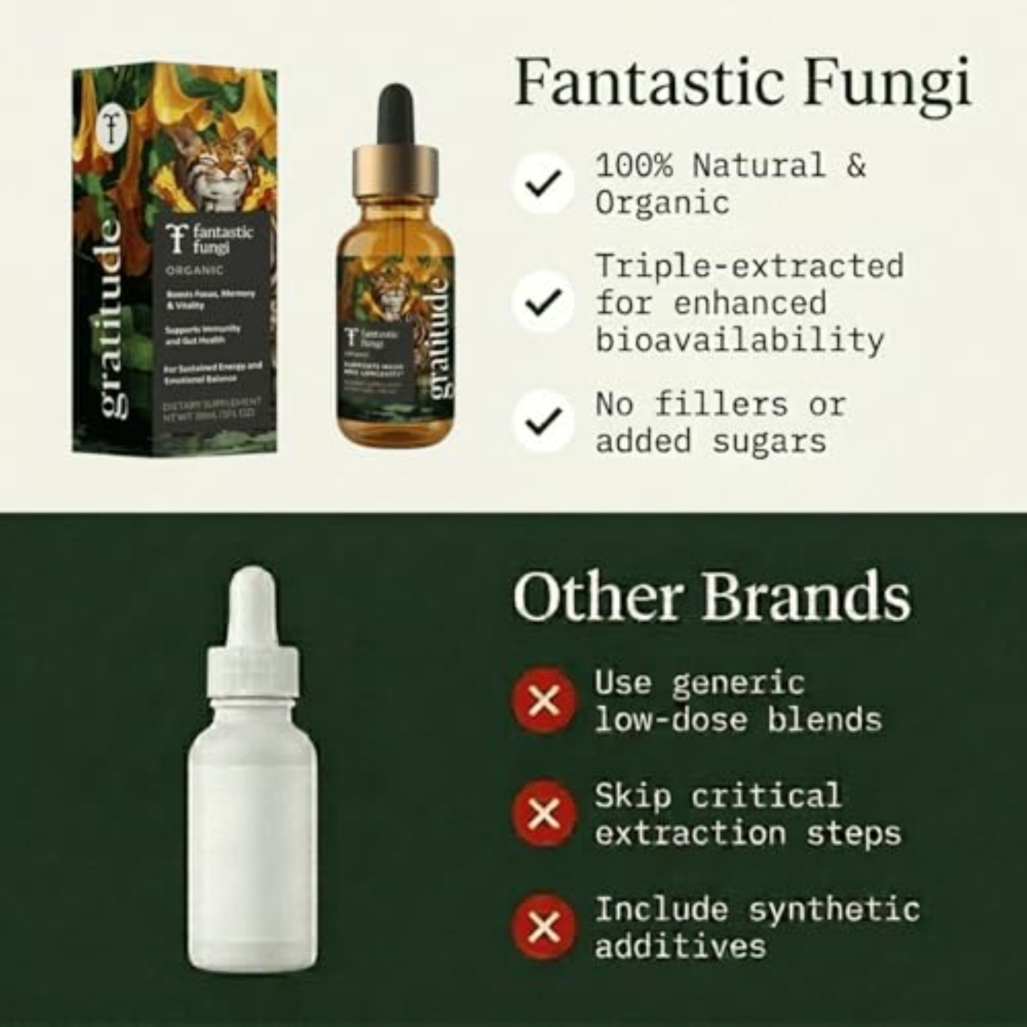 Fantastic Fungi botella en mesa de cocina estilo de vida, rutina diaria simplificada
