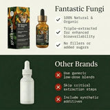 Fantastic Fungi botella en mesa de cocina estilo de vida, rutina diaria simplificada