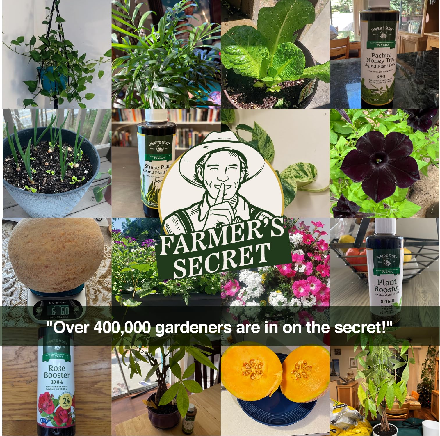 Farmer's Secret césped y arbustos tratados mostrando verdor restaurado y apariencia saludable