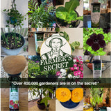Farmer's Secret césped y arbustos tratados mostrando verdor restaurado y apariencia saludable
