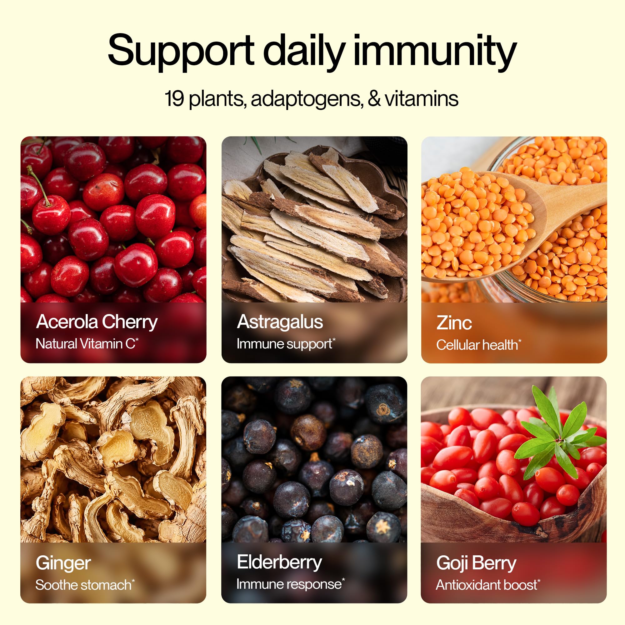 Feel Goods acerola y frutas usadas como fuente natural de vitamina C y antioxidantes