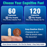 Fenolutra presentación DHA omega-3 destacando soporte estructural cerebral