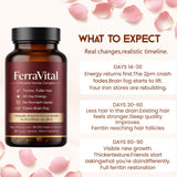 FerraVital etiqueta con lista de ingredientes clave y beneficios para absorción