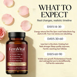 FerraVital ingredientes vegetales con spirulina y remolacha para absorción