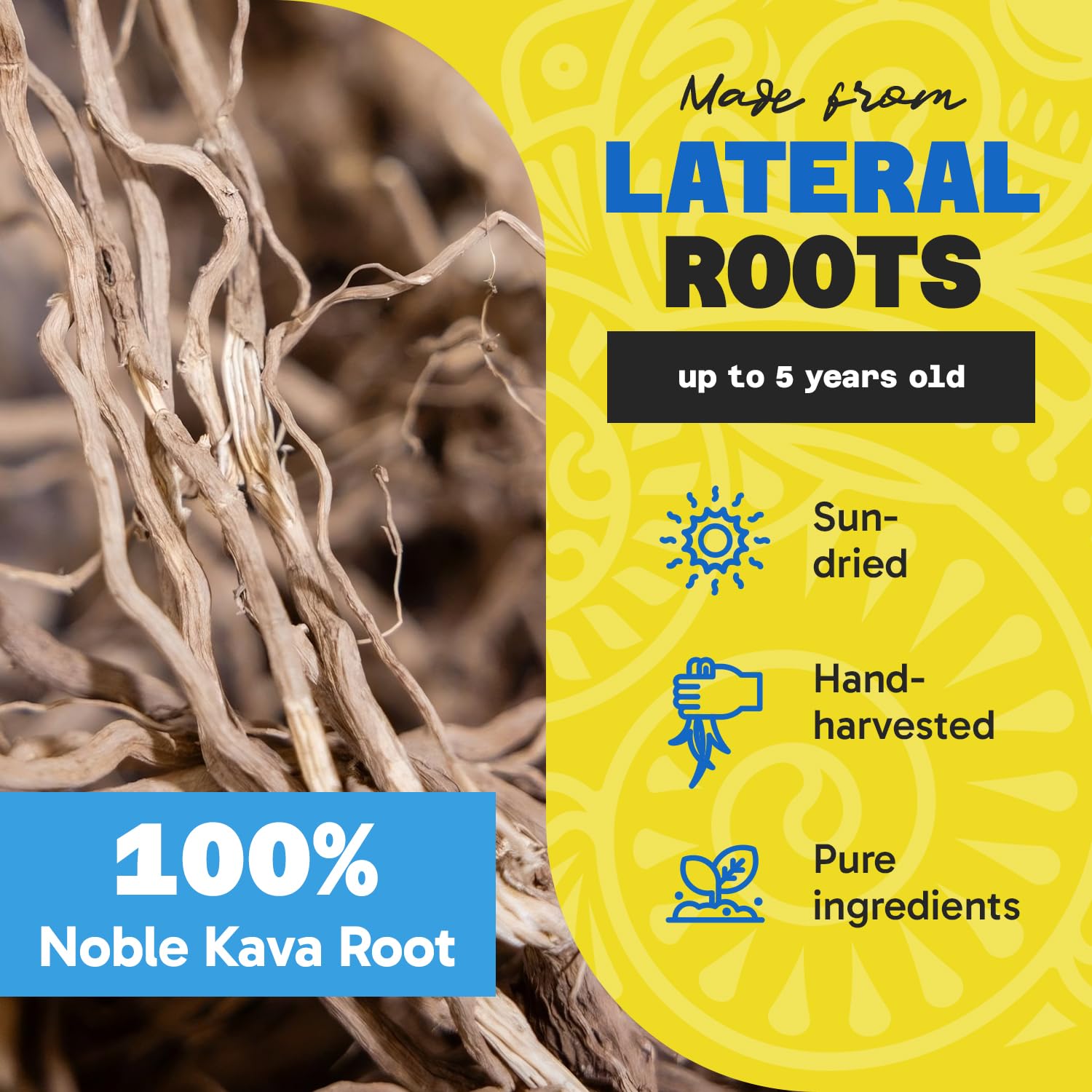 Fiji Vanua Kava raíces secadas al sol que garantizan sabor auténtico