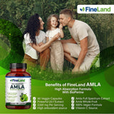 FineLand envase abierto con cápsulas visibles para cantidad por bote