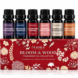 Fiora Naturals frente del empaque elegante mostrando set completo