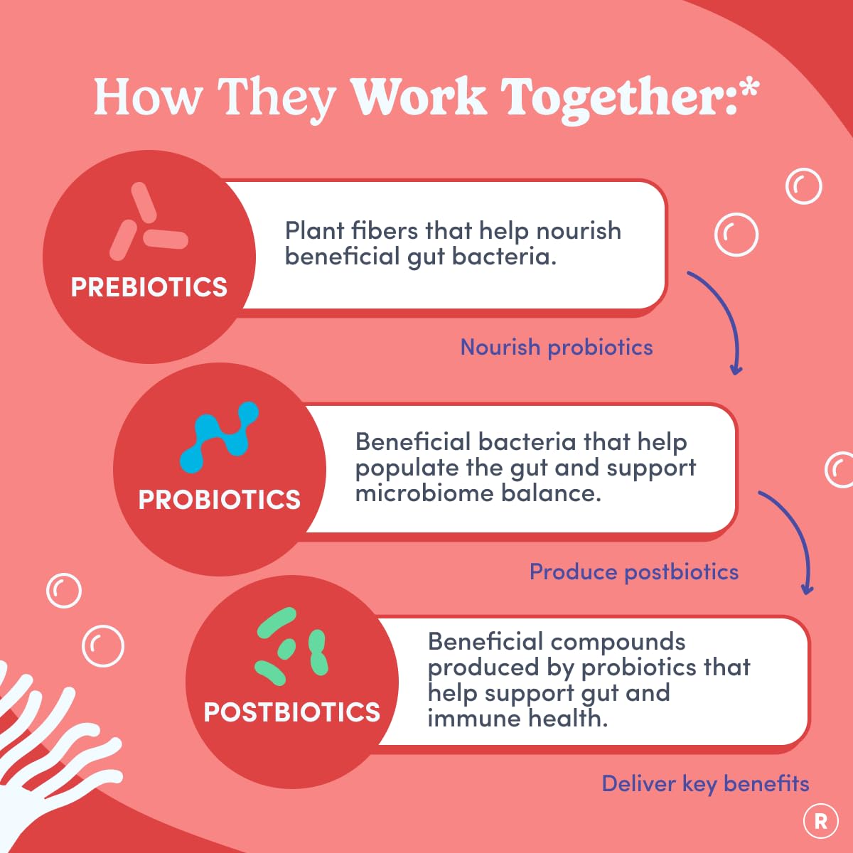 Etiqueta de ingredientes activos FIRST DAY destacando prebiótico, probiótico y postbiótico clínicos