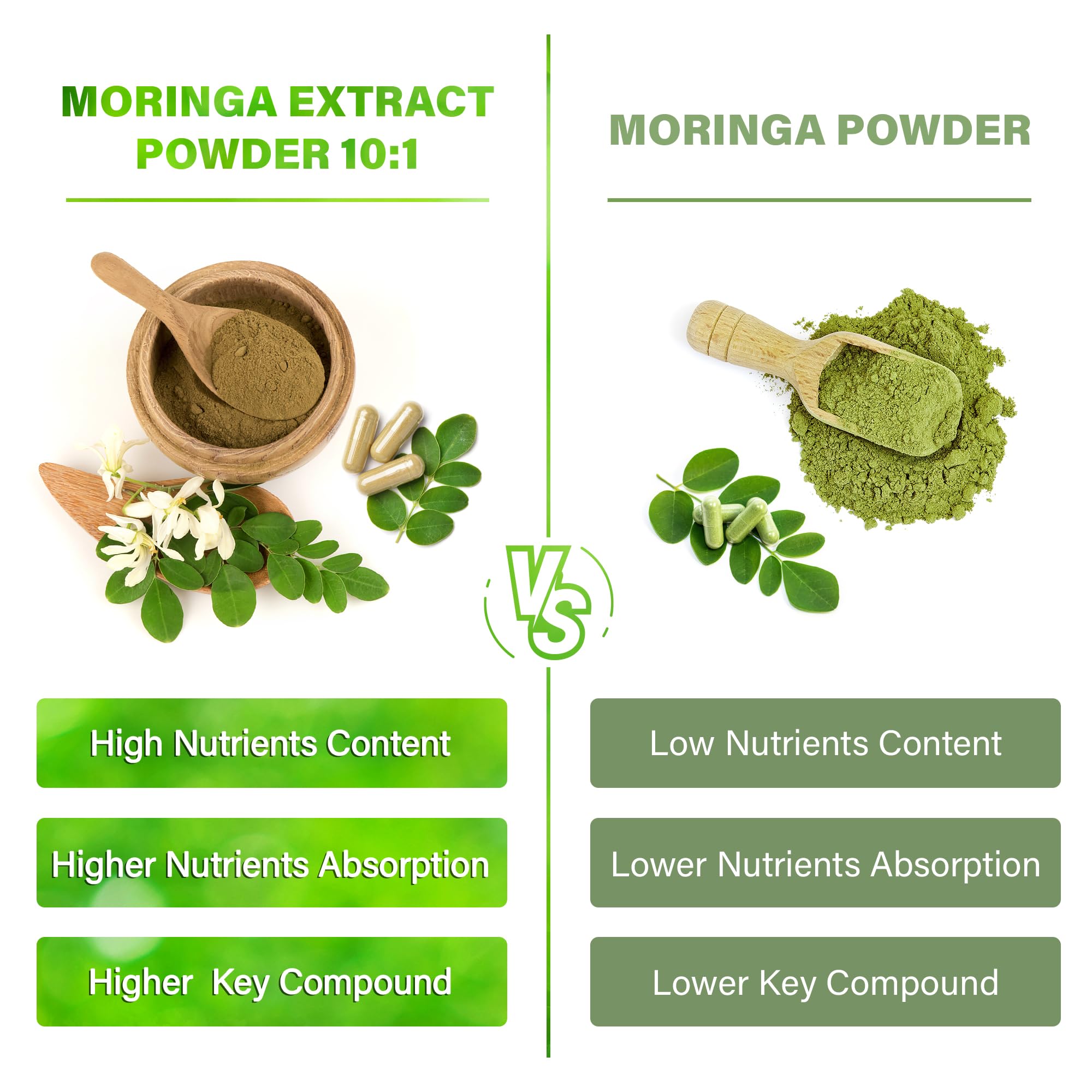 FitVitality cápsulas de moringa en mano mostrando tamaño y facilidad de uso