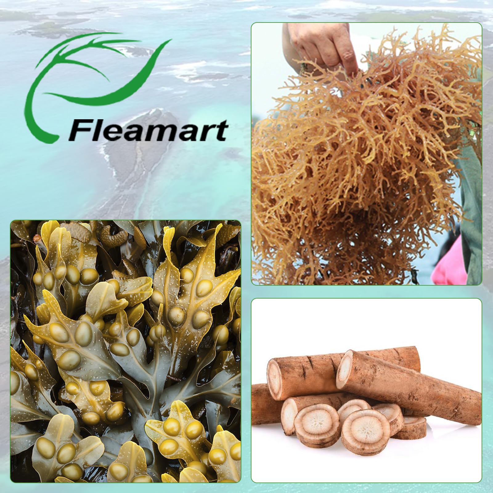 Fleamart etiqueta con ingredientes clave y claridad de información nutrimental