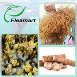 Fleamart etiqueta con ingredientes clave y claridad de información nutrimental