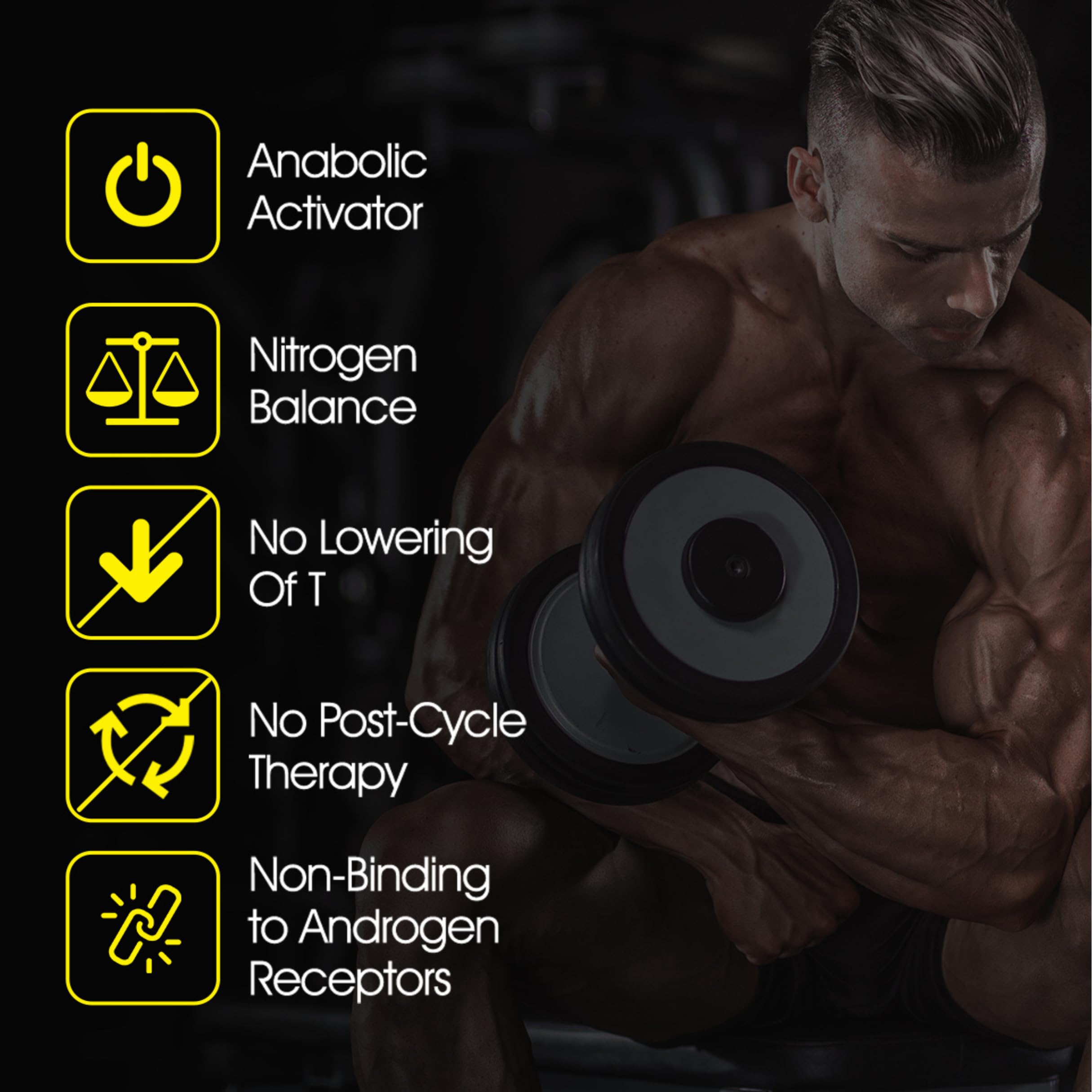 Flight Armour junto a mancuernas en gimnasio, integración en rutina de entrenamiento