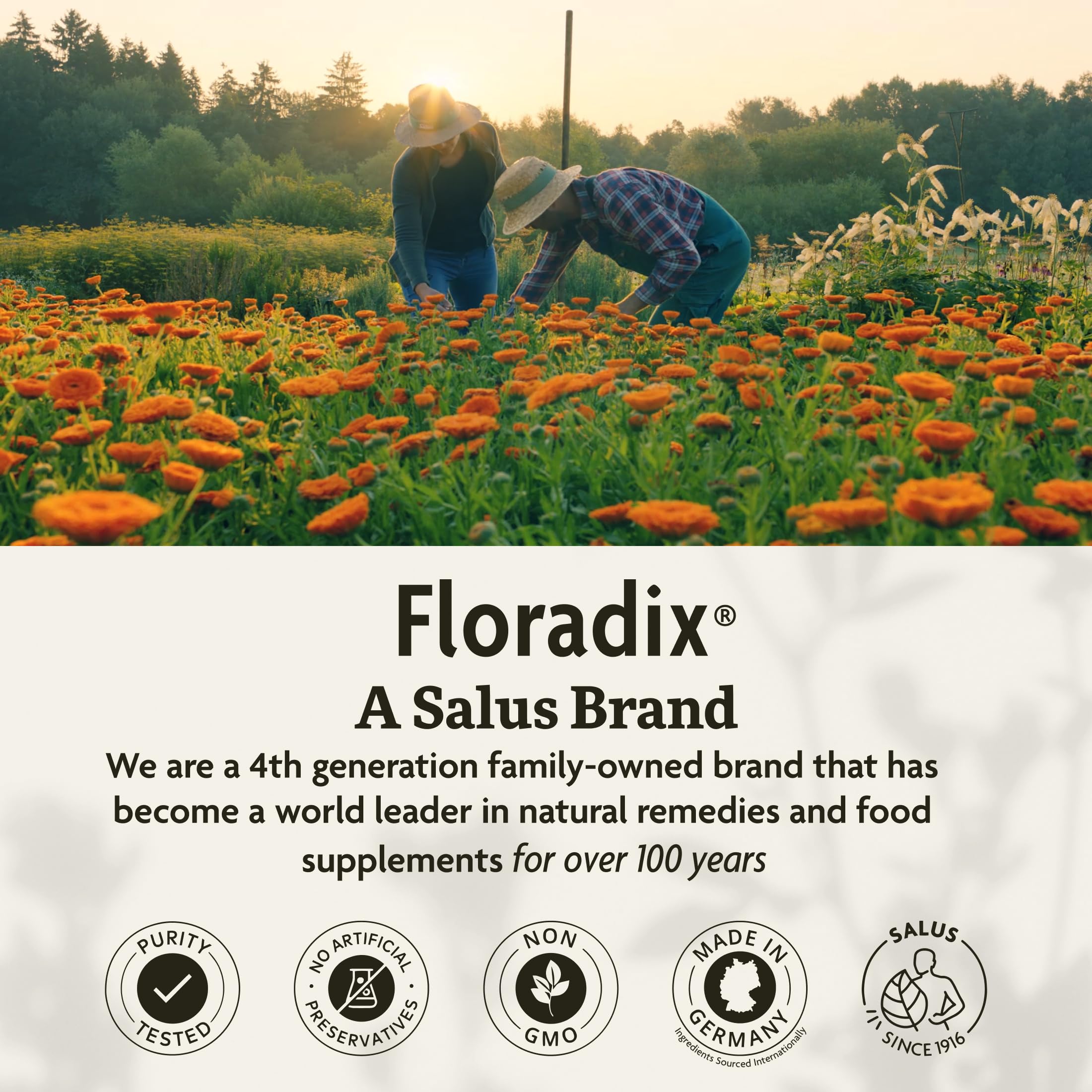 Floradix en un desayuno equilibrado, integrándolo en rutina diaria energética