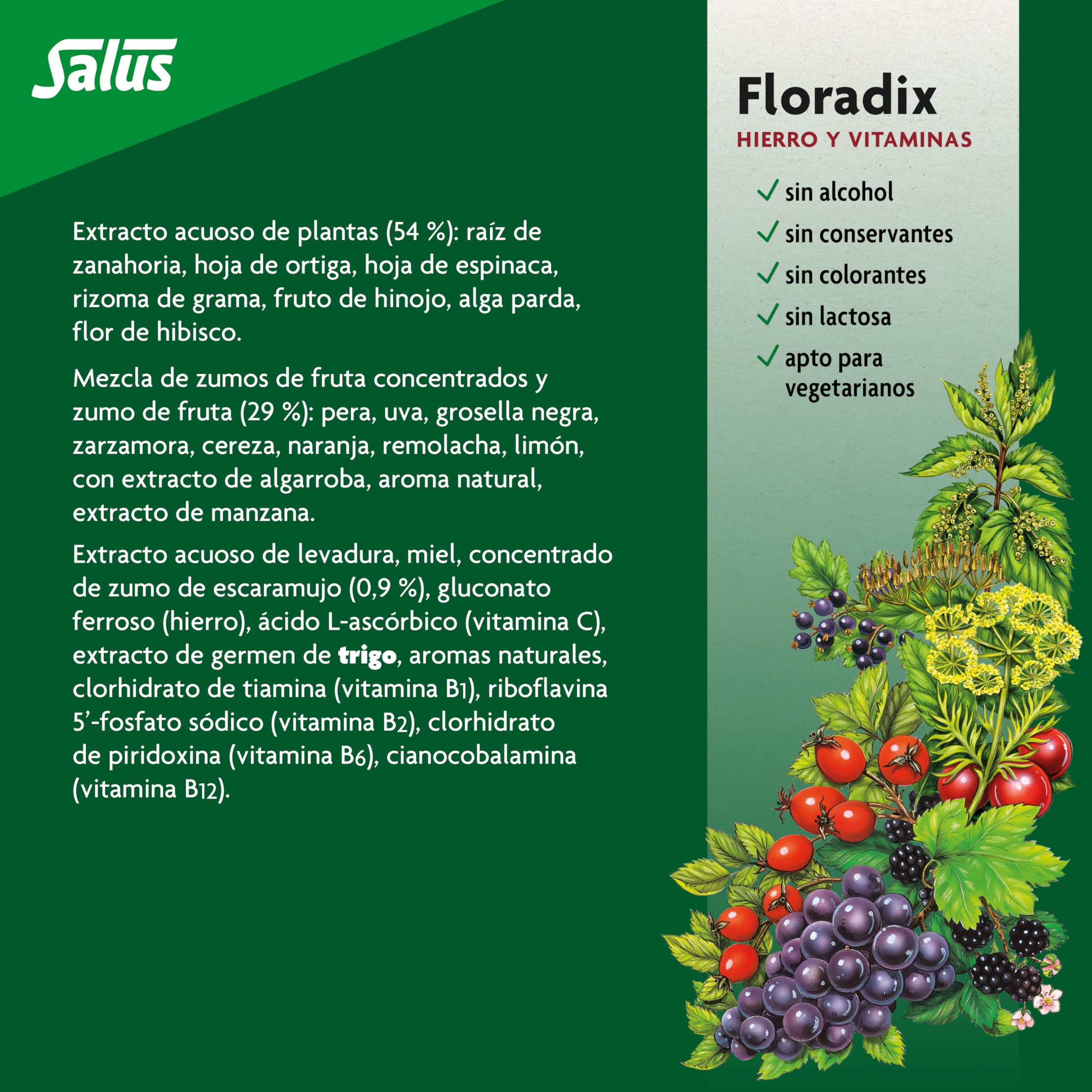 Floradix ingredientes: concentrados de frutas y extractos herbales naturales