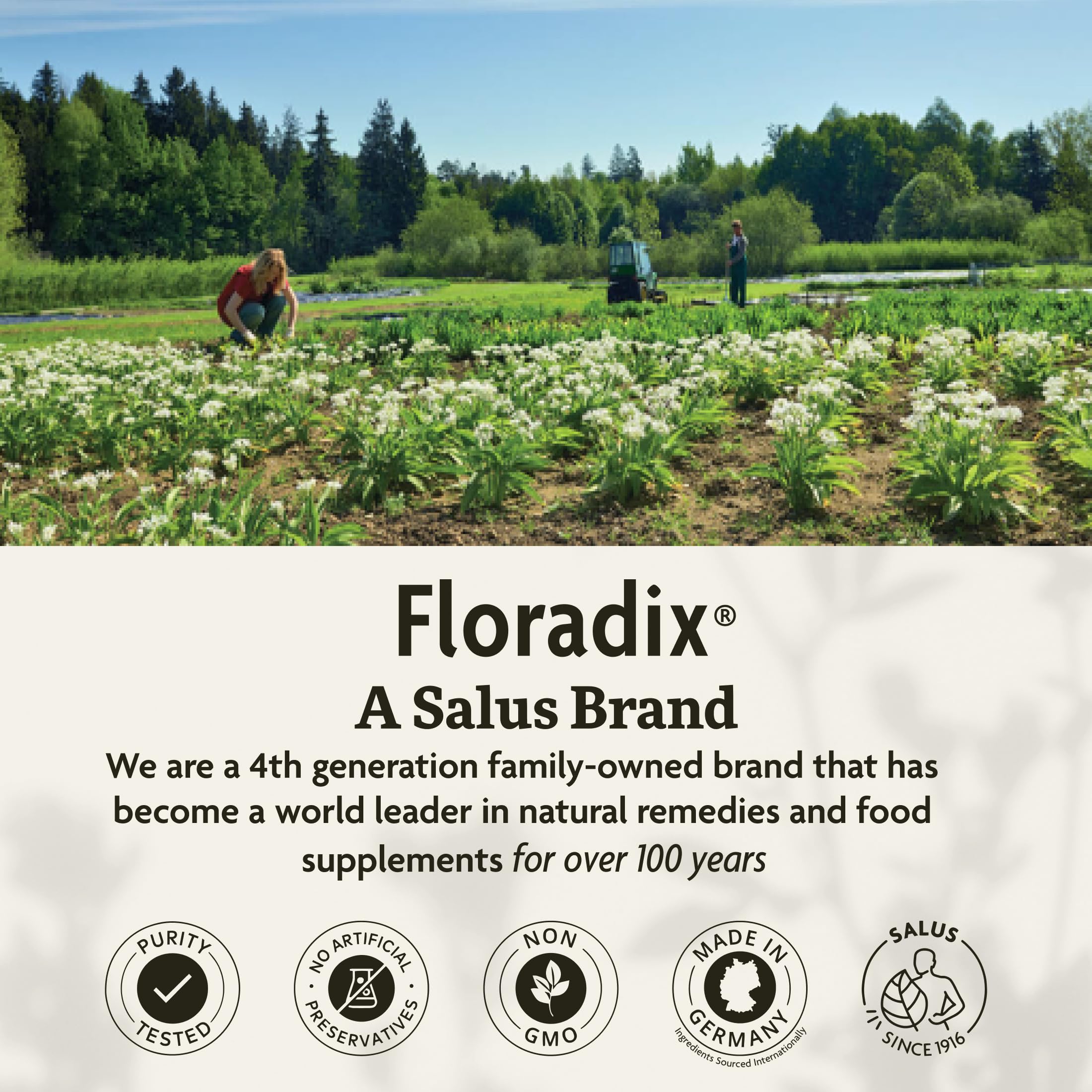 Floradix ingredientes naturales como hierbas y frutas que mejoran tolerancia
