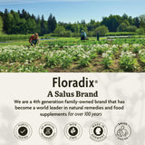 Floradix ingredientes naturales como hierbas y frutas que mejoran tolerancia