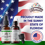 FLORIDA HERBS hojas secas de ginkgo mostrando origen vegetal y calidad