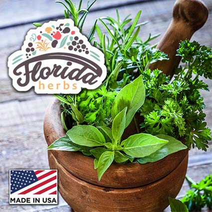 FLORIDA HERBS frasco junto a regla para comparar tamaño, compacto y portátil