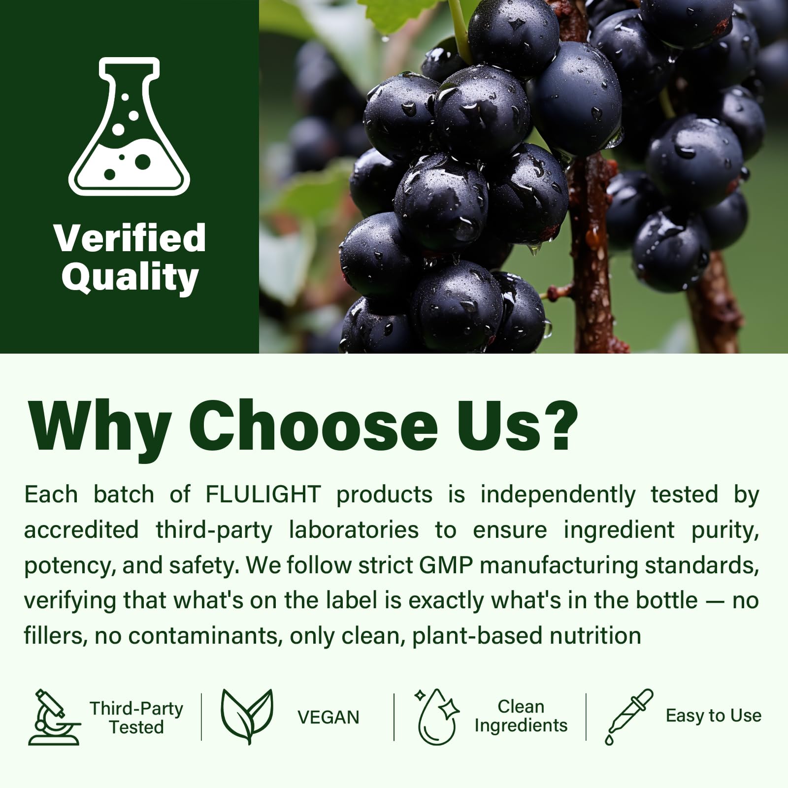 Flulight ambiente natural con producto que sugiere bienestar diario