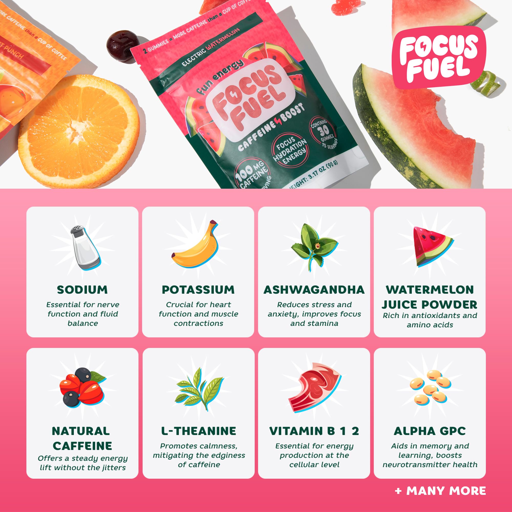 FocusFuel comparación de tamaño para llevar en bolsillo fácilmente