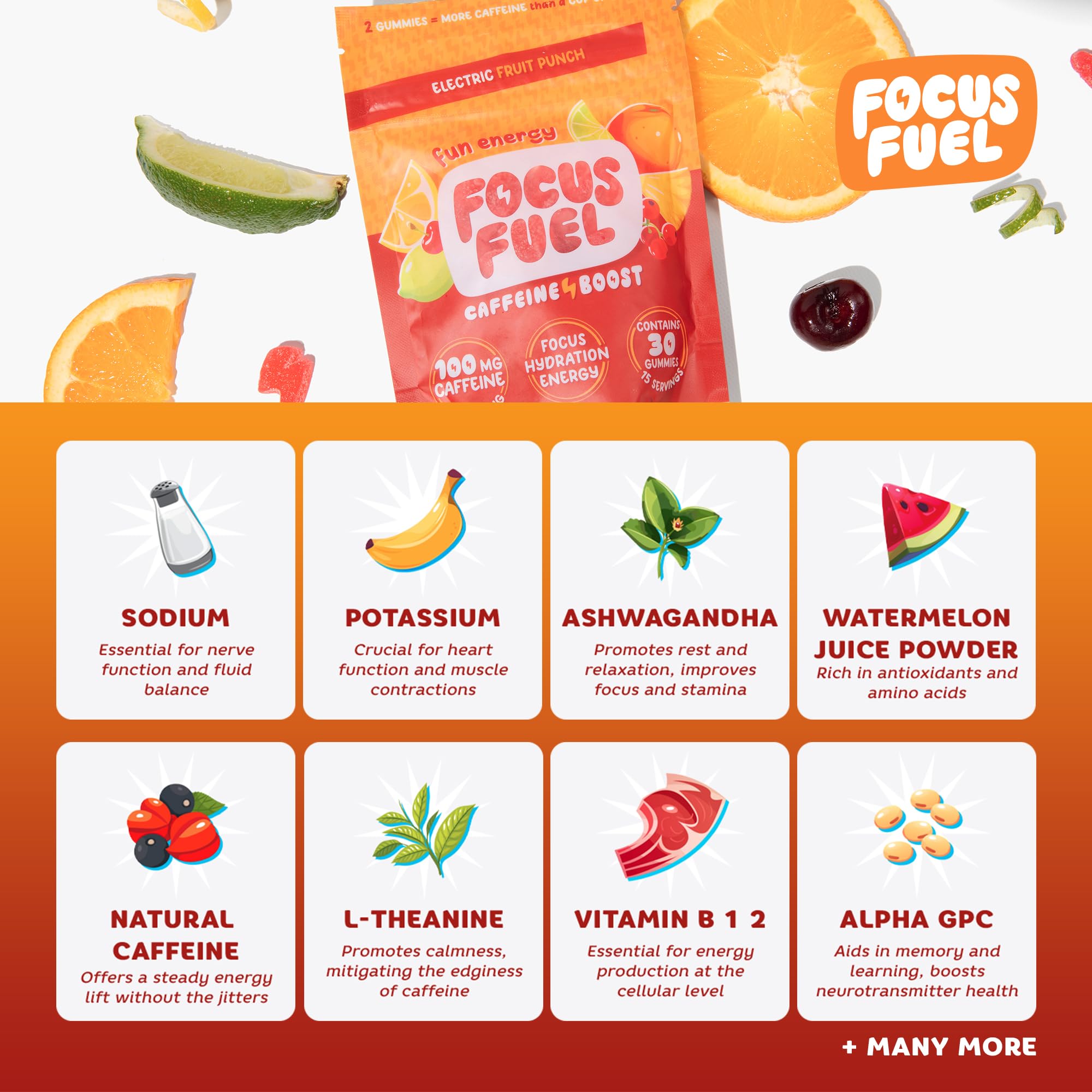 FocusFuel ingredientes clave (guaraná, té verde, L‑Theanine) como enfoque visual