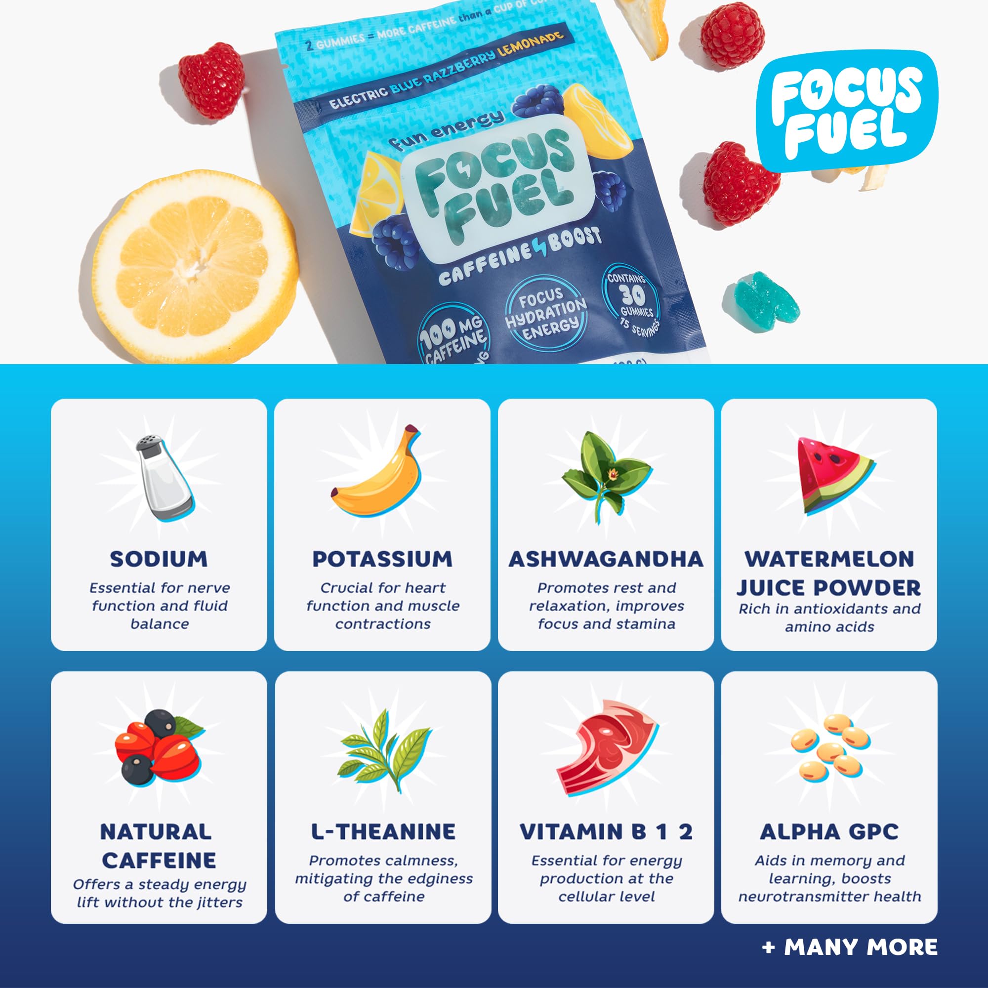 FocusFuel comparación de tamaño de porción para controlar dosis