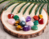 FORBY piedras decorando maceta de suculentas, mejora estética y drenaje visual