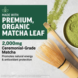 Force Factor cucharada con porción de matcha lista para preparar