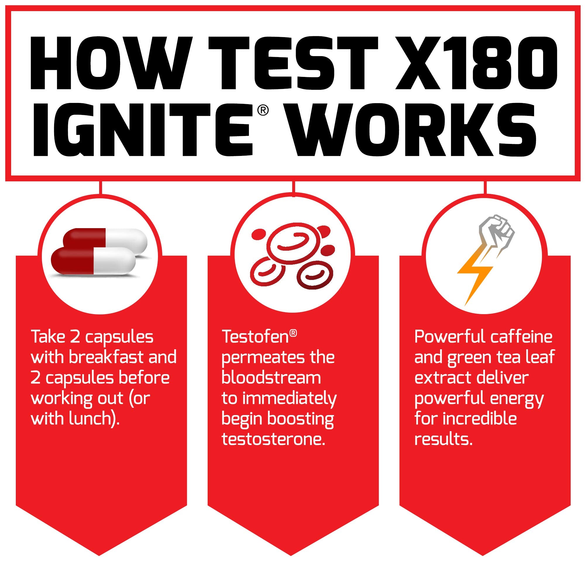 Force Factor Test X180 Ignite bote junto a una mano para comparar escala real