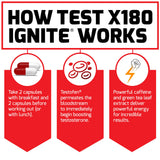 Force Factor Test X180 Ignite bote junto a una mano para comparar escala real