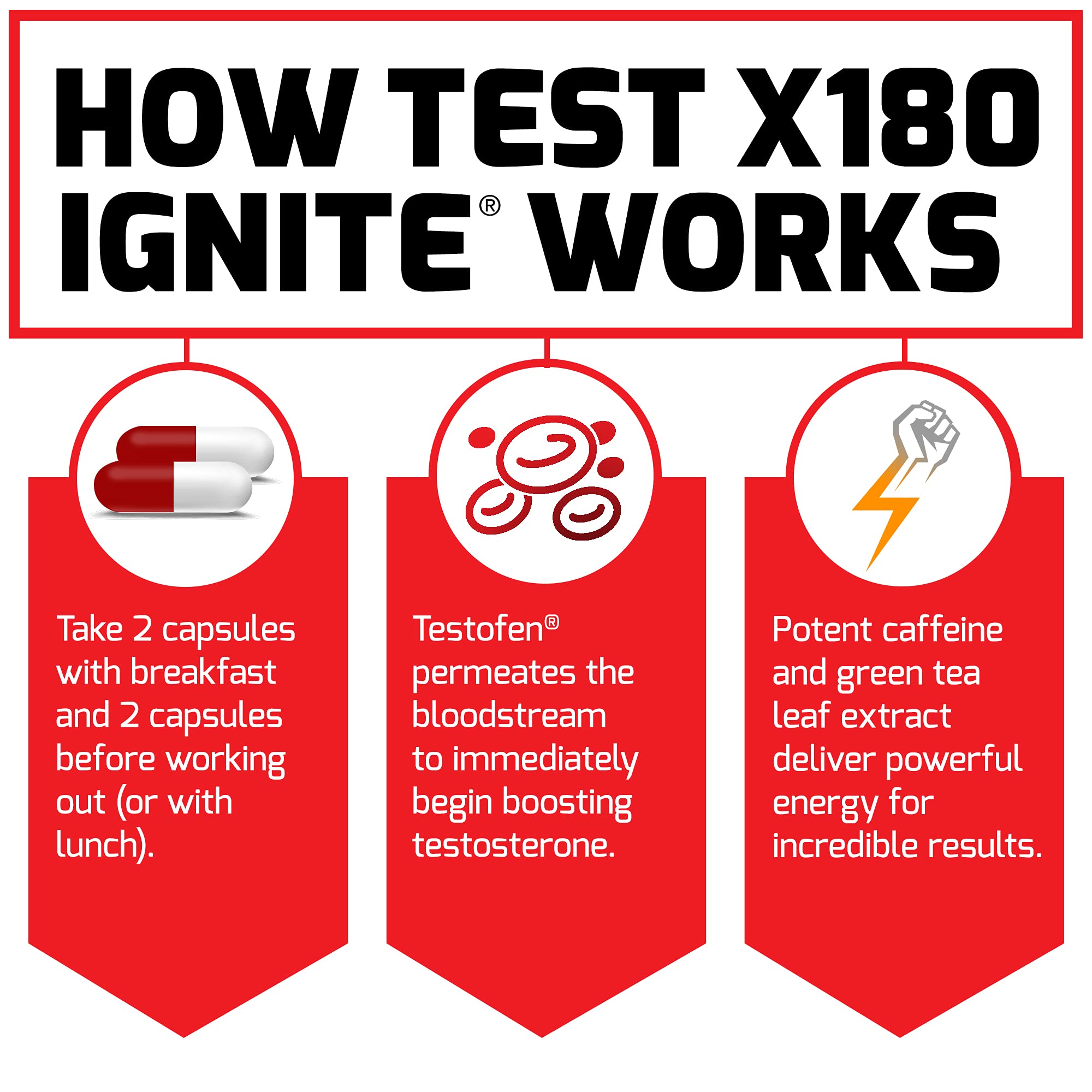 Force Factor Test X180 Ignite comparación de tamaño con la mano para escala práctica