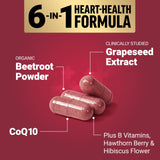 Force Factor combinación de ingredientes: remolacha, CoQ10 y extractos