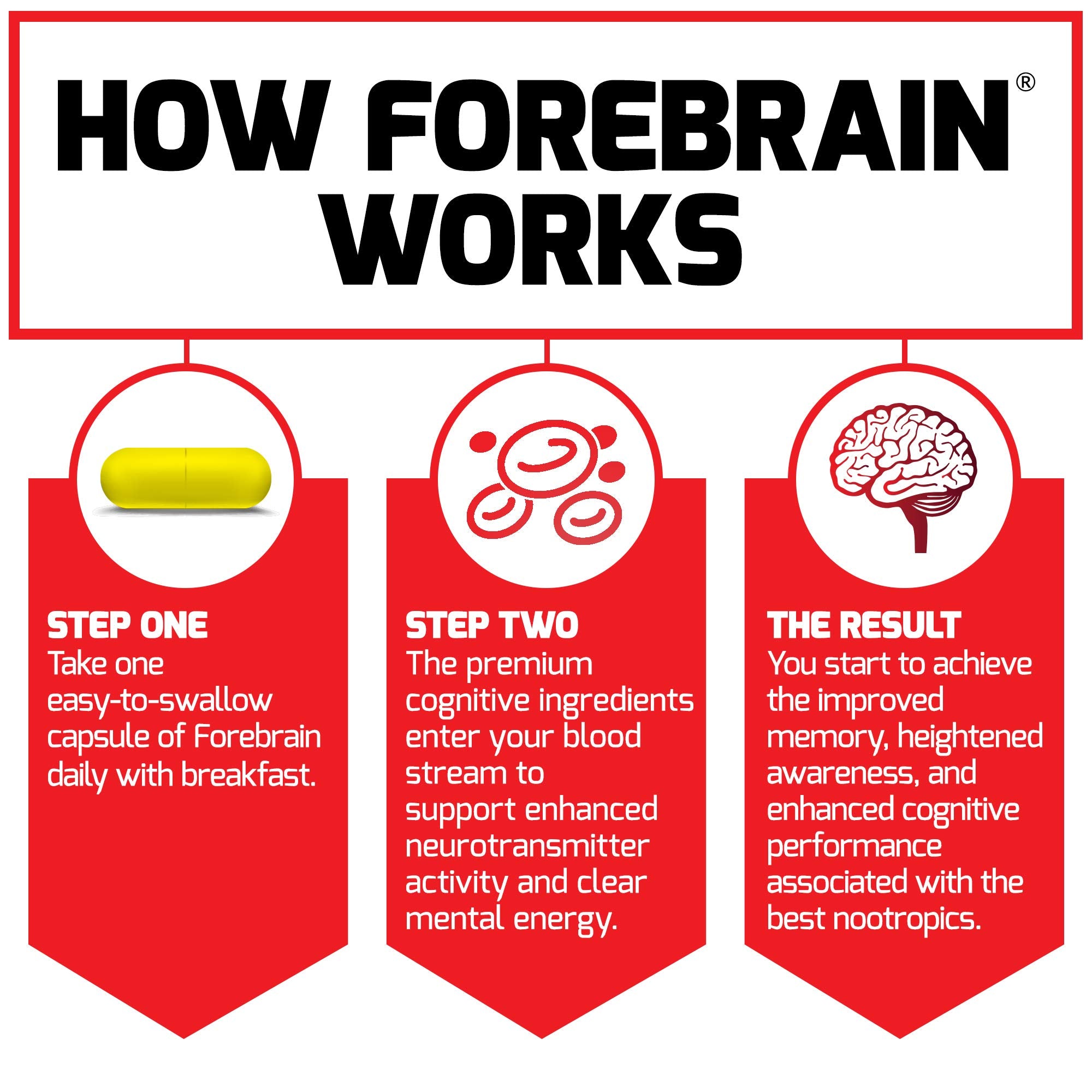 Force Factor Forebrain cápsula junto a mano para comparar tamaño práctico
