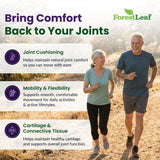ForestLeaf detalle de etiqueta con lista de ingredientes y beneficios claros