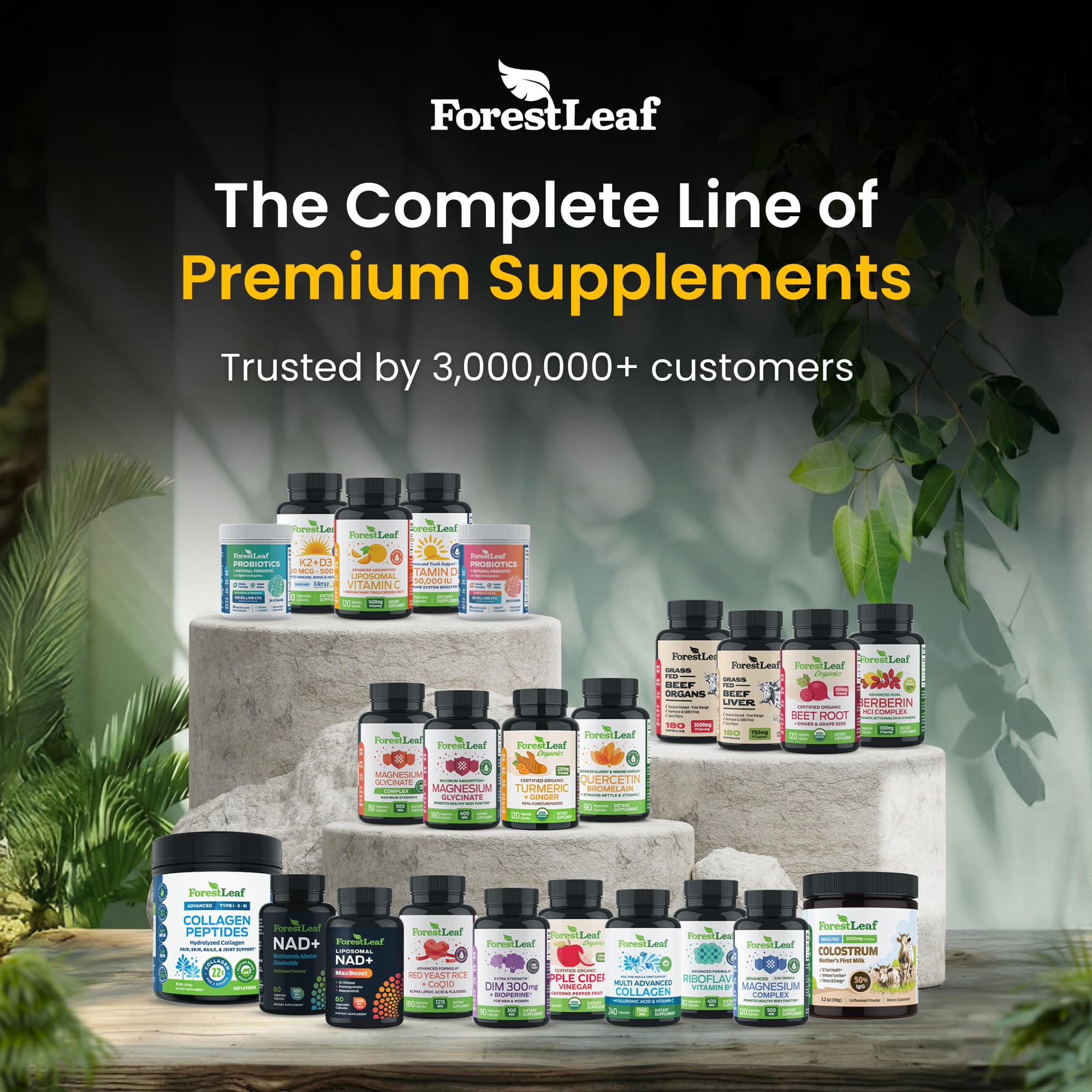 ForestLeaf envase abierto mostrando contenido y cantidad durable