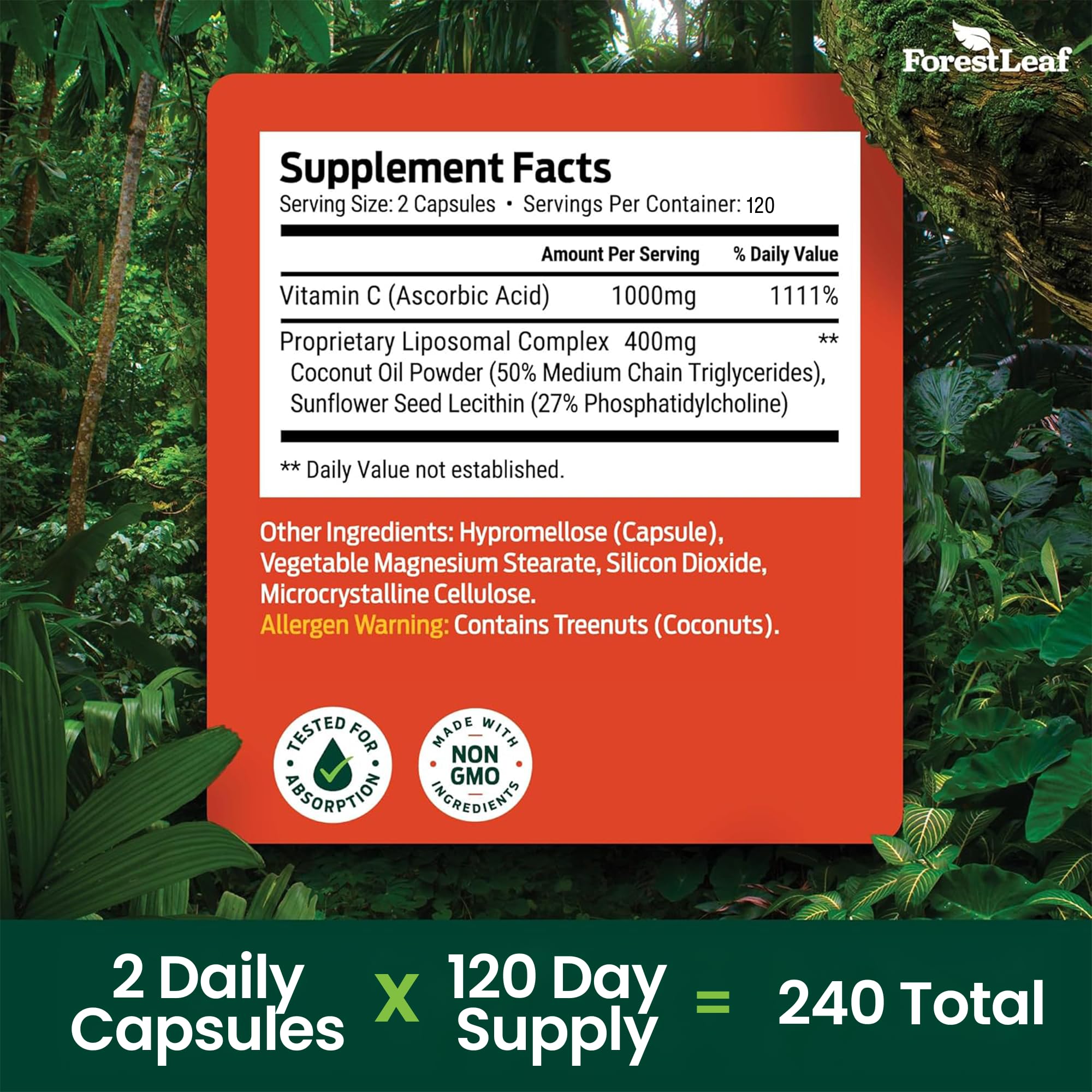 ForestLeaf botella en entorno natural para transmitir origen vegano y pureza
