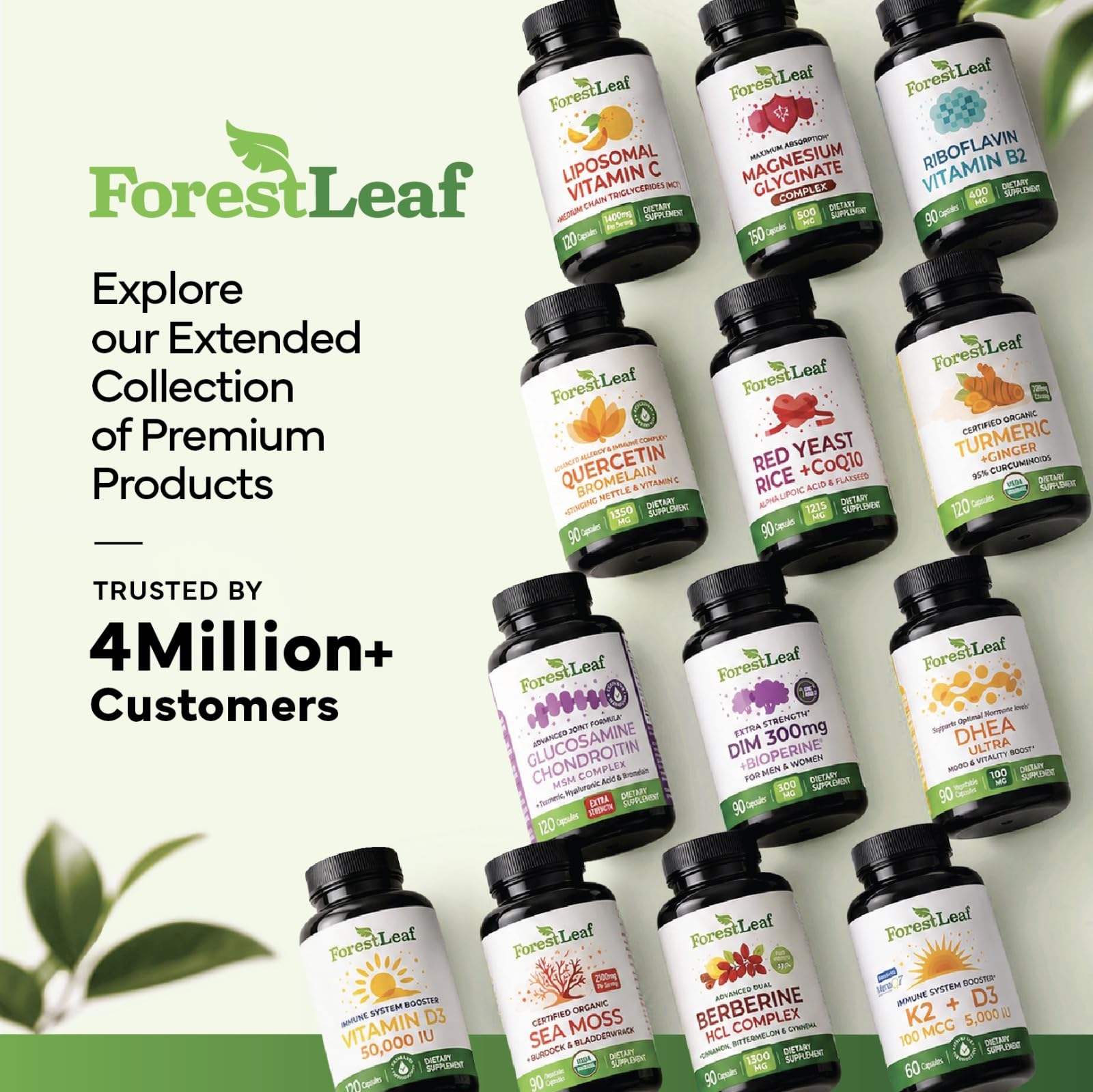 Frasco ForestLeaf en cocina con luz natural para uso cotidiano confiable