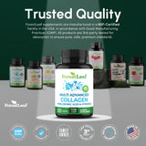 ForestLeaf ingredientes clave vitamina C y ácido hialurónico en foco