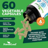 ForestLeaf ingredientes orgánicos dispuestos que inspiran confianza