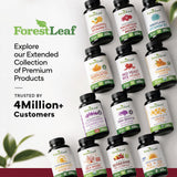 Técnico realizando pruebas de laboratorio en producto ForestLeaf para calidad