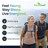 ForestLeaf primer plano de la textura de la cápsula que inspira confianza
