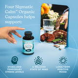 Four Sigmatic cápsula en mano para comparar tamaño y dosificación