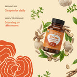 Four Sigmatic cápsulas en uso sobre escritorio ilustrando aumento de concentración