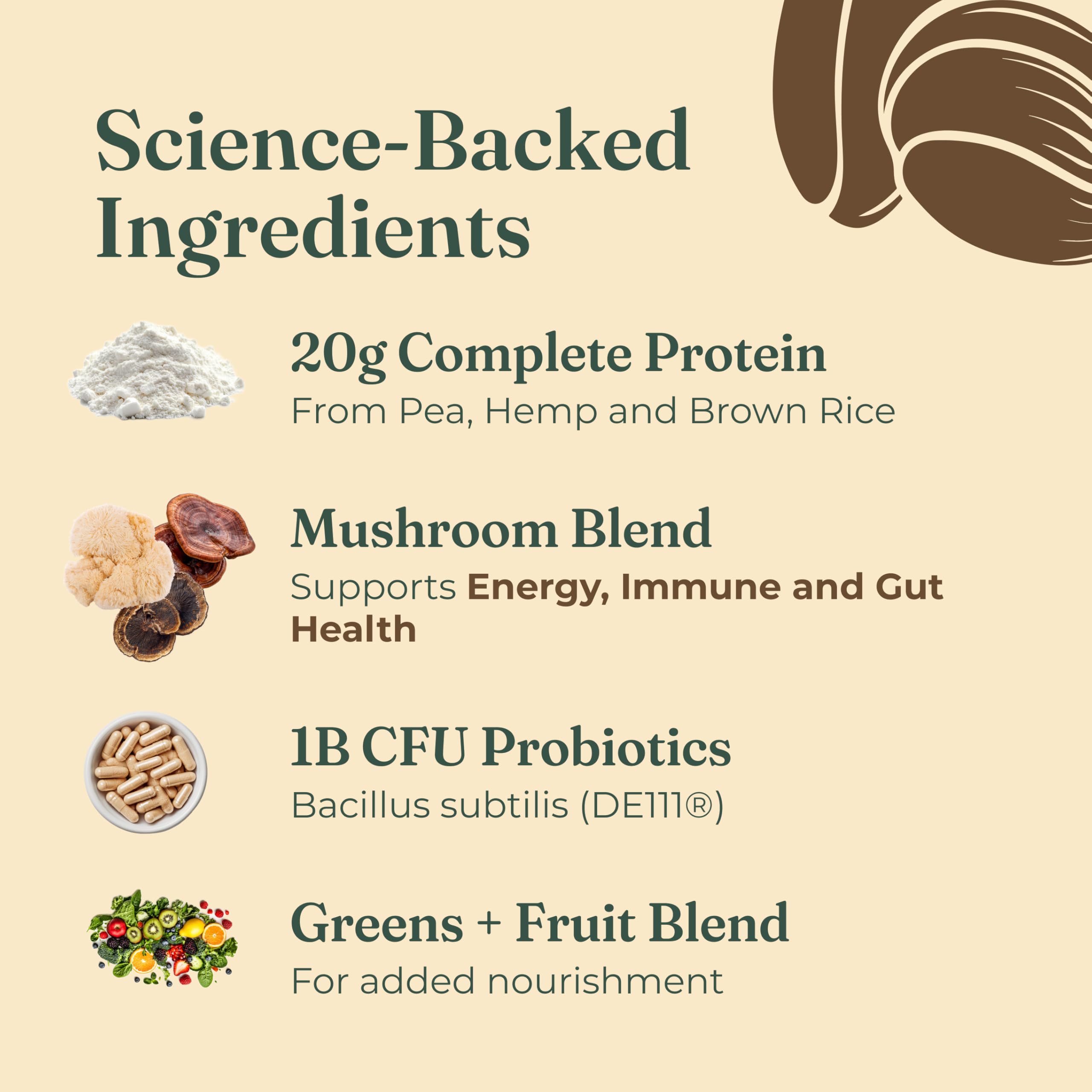 Four Sigmatic proteína añadida a un bowl de avena para desayuno nutritivo