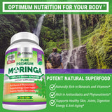 FRESH HEALTHCARE cápsula de moringa en mano para comparar tamaño y facilidad de ingesta